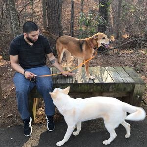 Meet your Posher, Edson